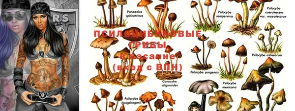 прущая мука Костерёво
